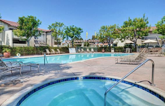 Swimming Pool  at Adagio, California