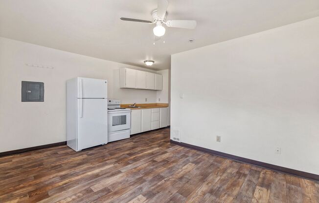 1 bed, 1 bath, 500 sqft, $1,295