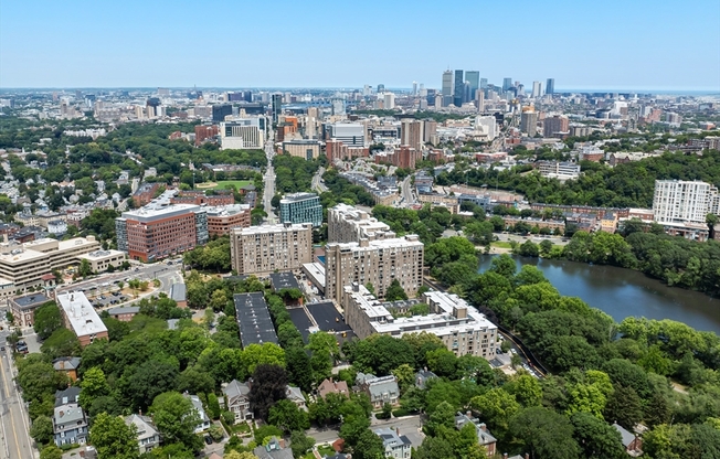 Studio, 1 bath, 500 sqft, $2,500, Unit 1110