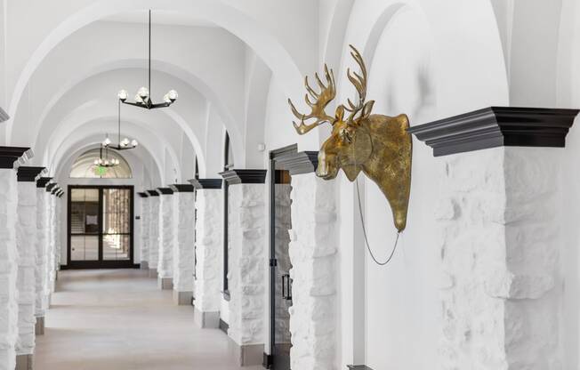 a hallway with white marble pillars and a deer head on the wall