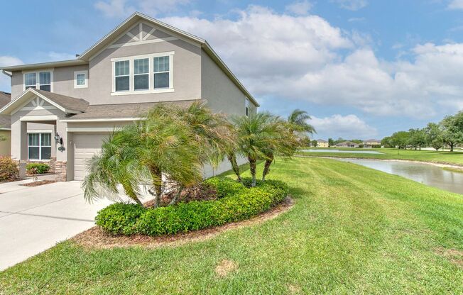 Great water view spacious house in desirable New Tampa