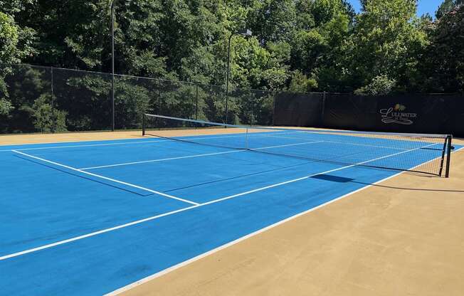 Lullwater at Bass | Pickle Ball