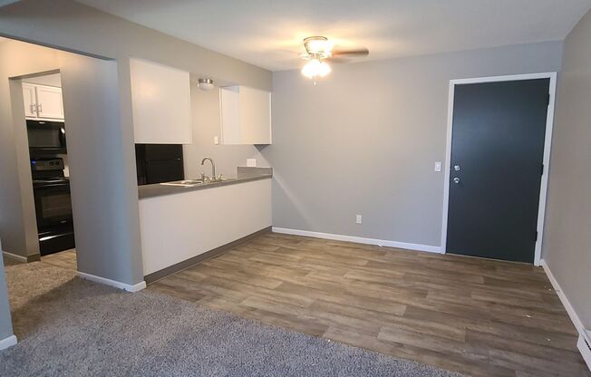 Newly Remodeled 1 Bedroom Apartment!