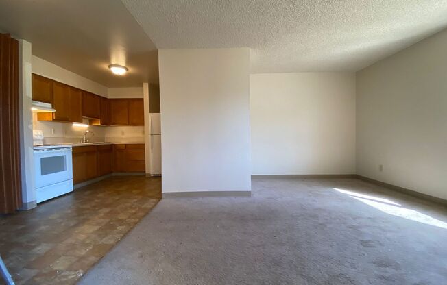 1 bedroom 1 bathroom apartments located in the heart of Tacoma!  *OPEN HOUSE WEDNESDAYS 5PM- 7PM AND SATURDAYS 10AM-1PM*