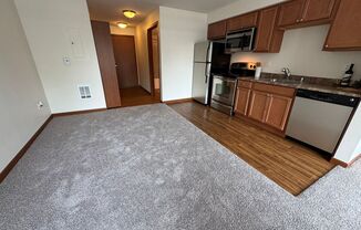 Studio, 1 bath, 409 sqft, $1,525, Unit B305