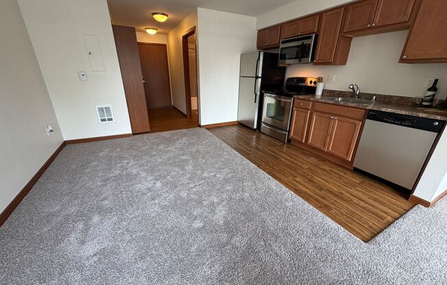 Studio, 1 bath, 409 sqft, $1,525, Unit B305