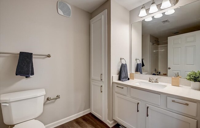 a bathroom with a toilet sink and mirror