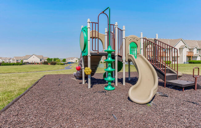 Large Outdoor Playground