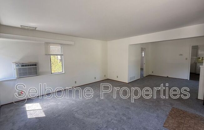 527 CALLAN AVE
