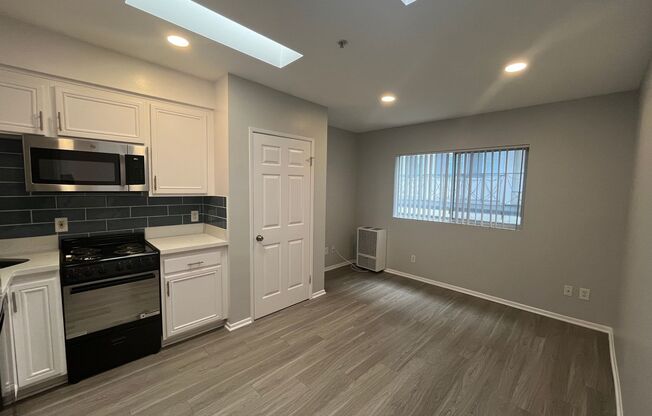 Studio, 1 bath, 238 sqft, $1,698, Unit 207