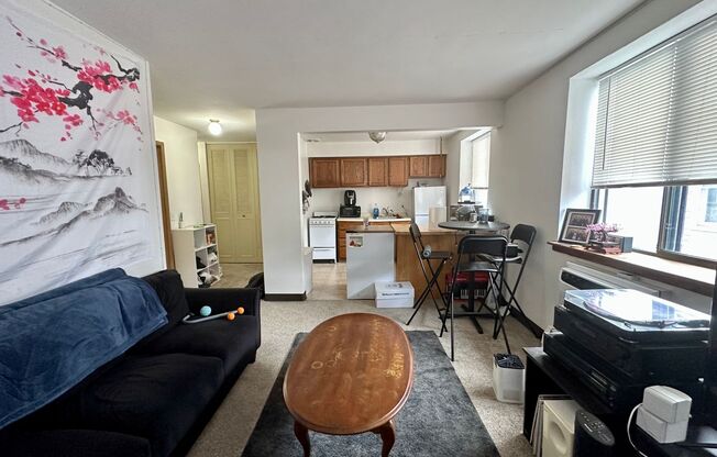 1 bed, 1 bath, $1,095, Unit 209