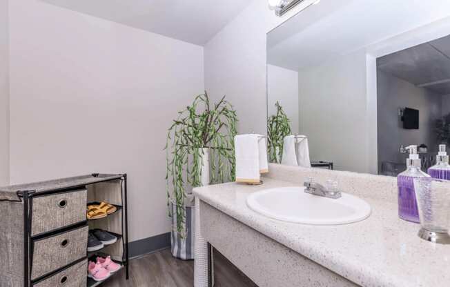 A bathroom with a sink, mirror, and a plant.