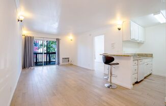 1 Bedroom / 1 Bathroom Rear Condo Unit