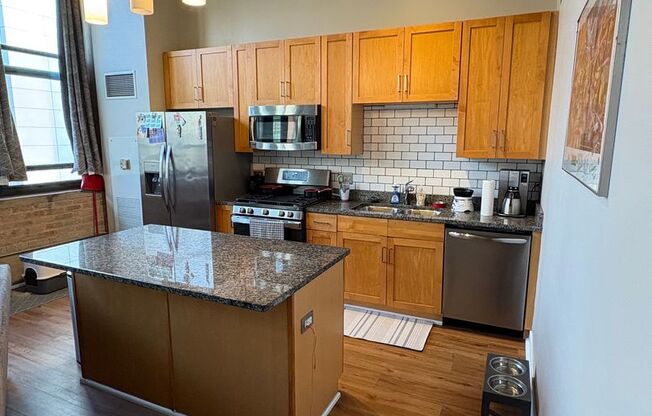 Includes a parking space! South Loop Chicago 1 Bed 1 Bath Apartment