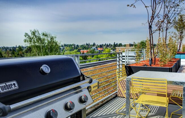 Studio, 1 bath, 401 sqft, $1,825, Unit 207