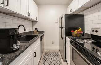 A black and white kitchen with a black fridge, black stove, and black countertops.