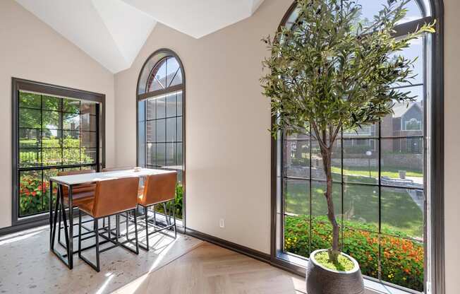 A room with a table and chairs and a potted tree.