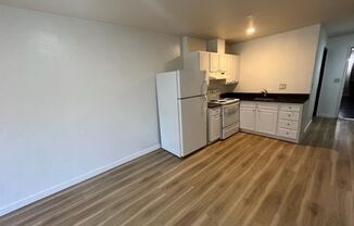 Studio, 1 bath, 420 sqft, $995, Unit 1-A