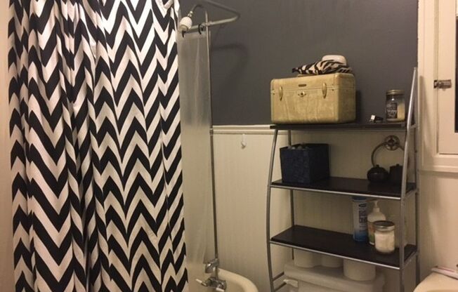 Studio, 1 bath, 375 sqft, $1,250, Unit 207