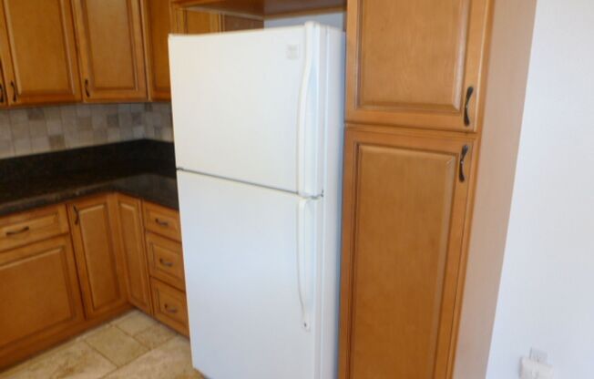 Four Bedroom, Two Bath, Two Car Garage Remodeled Home in West Reno