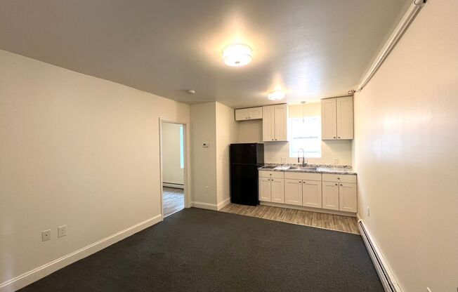 1 bed, 1 bath, 319 sqft, $1,495, Unit Unit 4