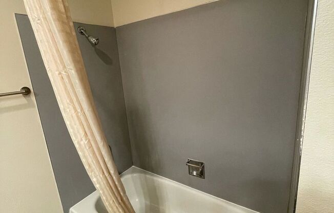 1 bed, 1 bath, 410 sqft, $1,450, Unit 306