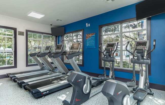 A gym with treadmills and a window showing trees.