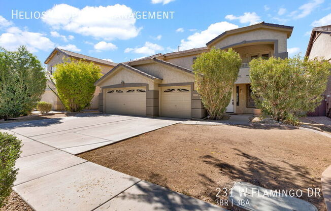 231 W FLAMINGO DR