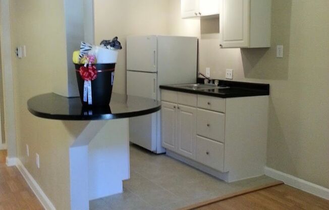 1 bed, 1 bath, 540 sqft, $1,100, Unit 103