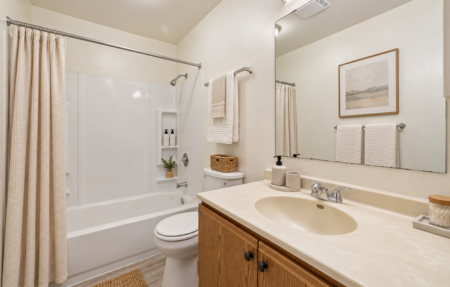 Studio, 1 bath, 341 sqft, $990, Unit 6706-19