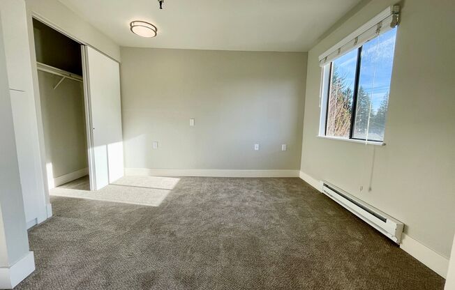 Studio, 1 bath, 480 sqft, $1,495, Unit 317