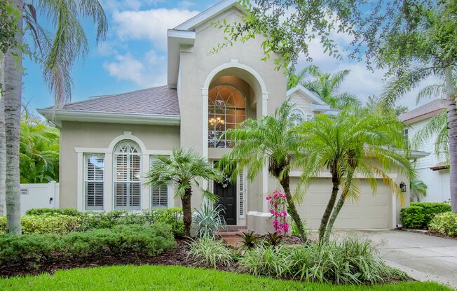 South Tampa Pool Home - 4 Bedrooms - 3 Bathrooms