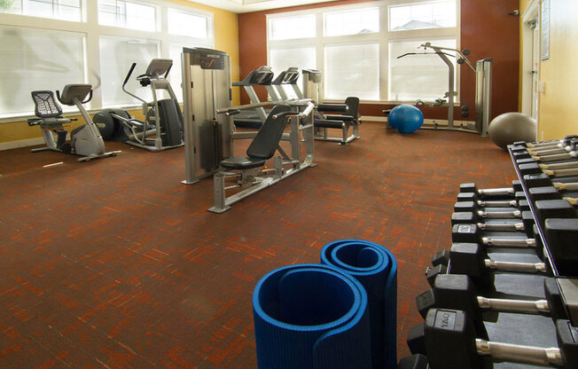 Free Weights In Gym at Talavera at the Junction Apartments & Townhomes, Utah