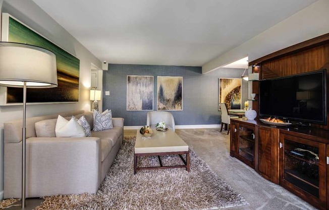 A living room with a grey couch, a coffee table, and a television.