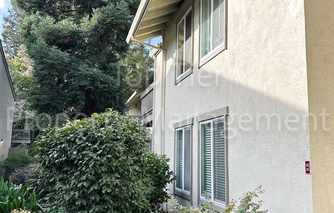 Meticulously renovated 2 Bd/1 Ba, 889 sf, ground-floor Walnut Creek condo!
