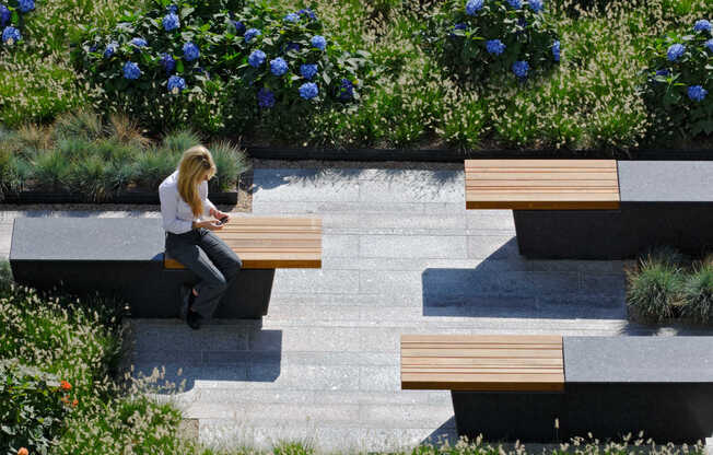 Courtyard Area