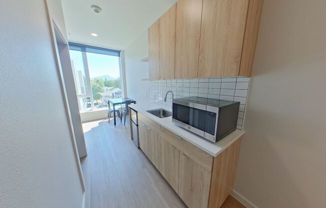 Studio, 1 bath, 314 sqft, $1,250, Unit 411
