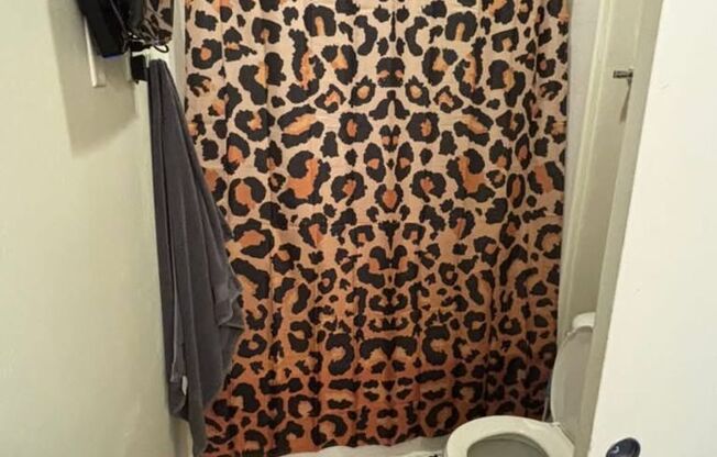 2 beds, 1 bath, 793 sqft, $1,900, Unit 507