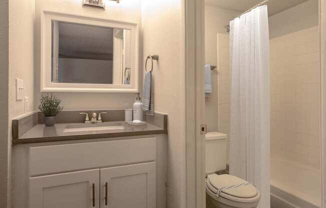 Studio Bathroom at The Link at 4th Ave Apartments in Tucson