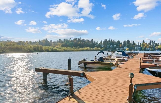 a dock on a lake with boats and trees in the background