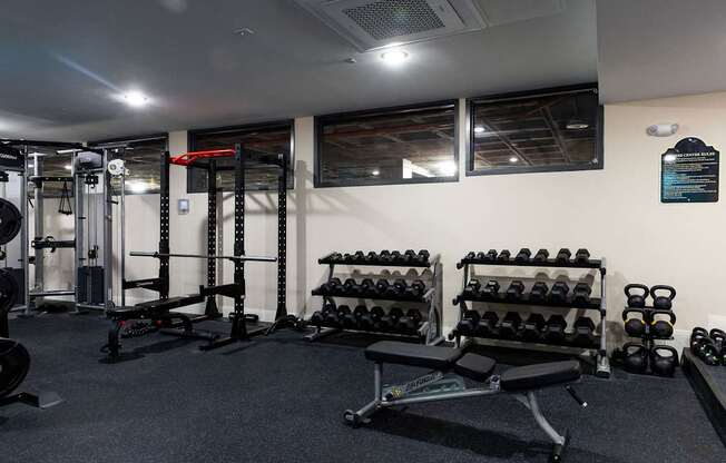 a gym with weights and dumbbells on the wall