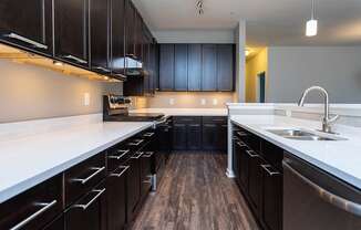 Dark Cabinets and Ample Counter Space