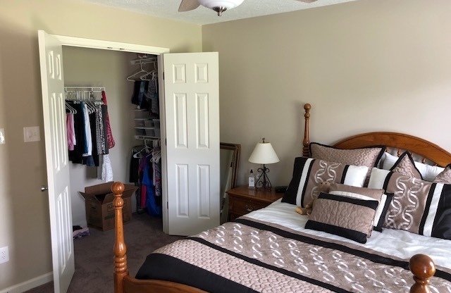 3 beds, 2 baths, $1,900