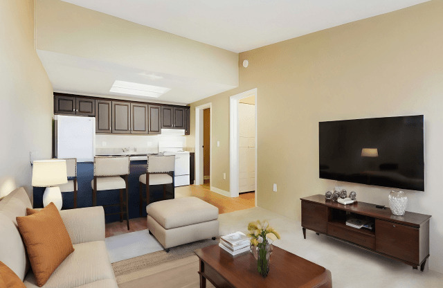 A living room with a couch, a coffee table, and a television.
