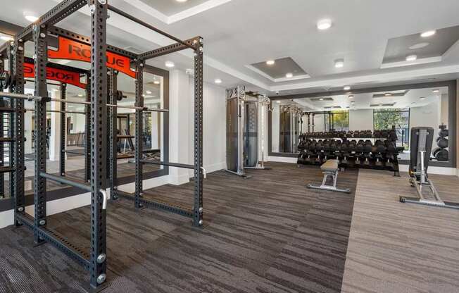 A gym with a squat rack, dumbbells, and weight machines.