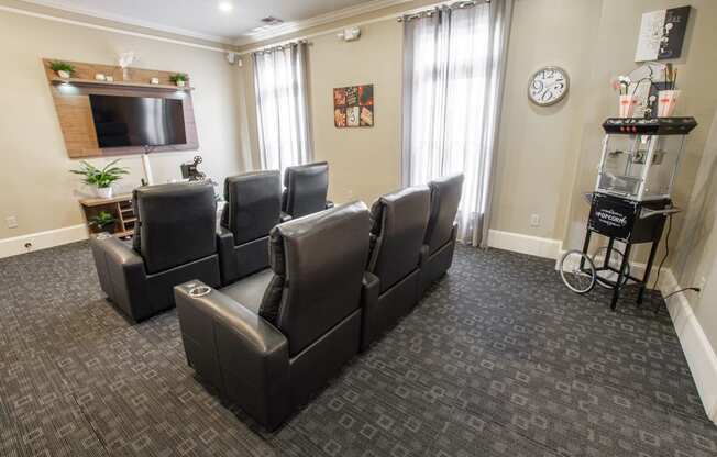 theater at verandas at taylor oaks