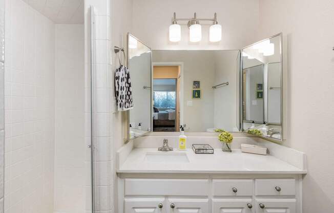 a bathroom with a sink and a shower and a mirror