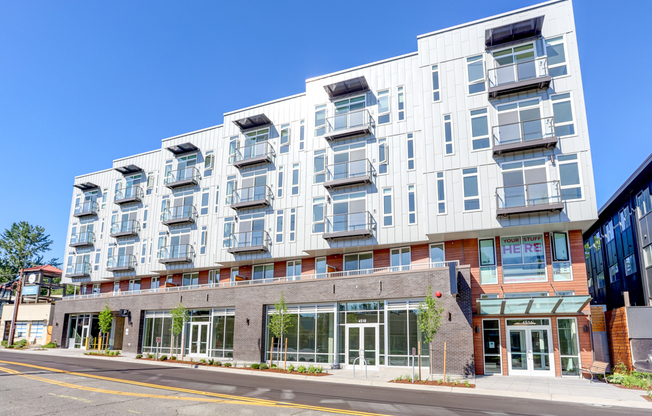 Studio, 1 bath, 525 sqft, $1,950, Unit 203
