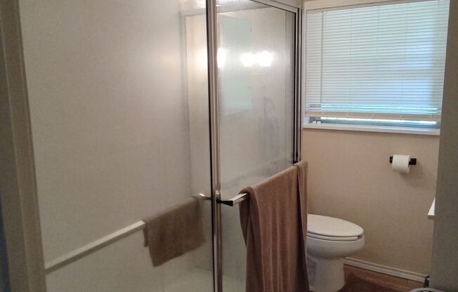 2 beds, 1 bath, $1,300