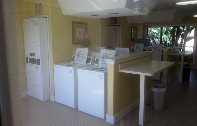 1 bed, 1 bath, $1,300, Unit Apt 11206